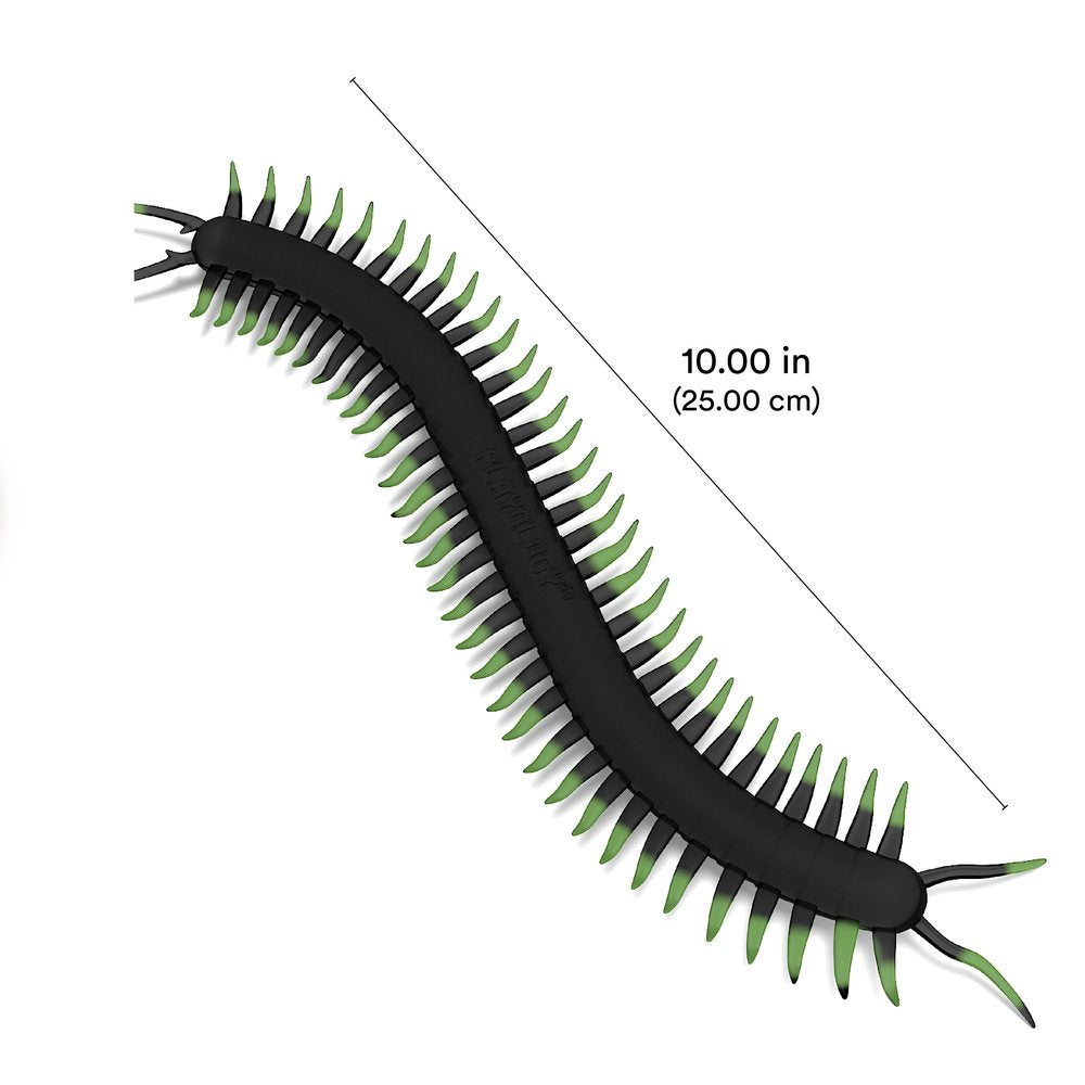 Centipede