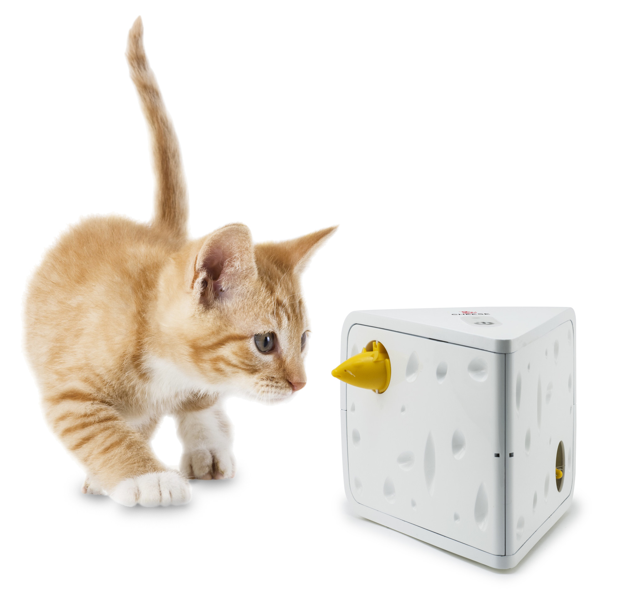 PetSafe Katten speelgoed Cheese™ Automatische Teaser – Spannend spelletje