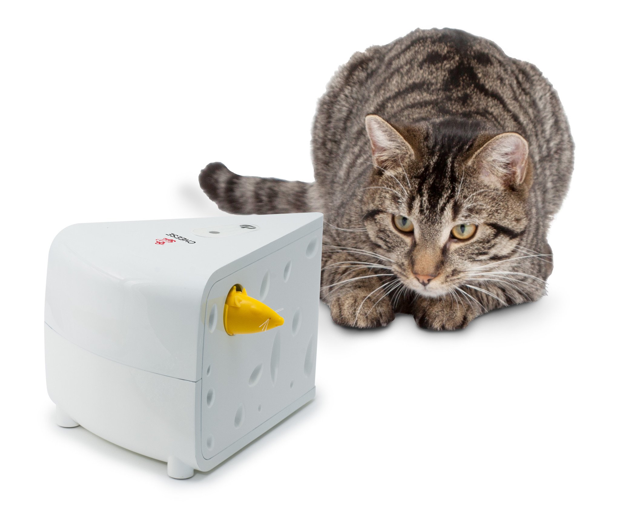 PetSafe Katten speelgoed Cheese™ Automatische Teaser – Spannend spelletje