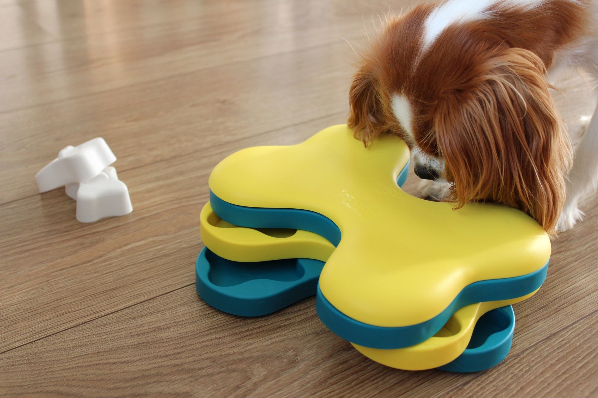 Outward Hound hondenpuzzel Dog Tornado 25×19 cm – Level 2