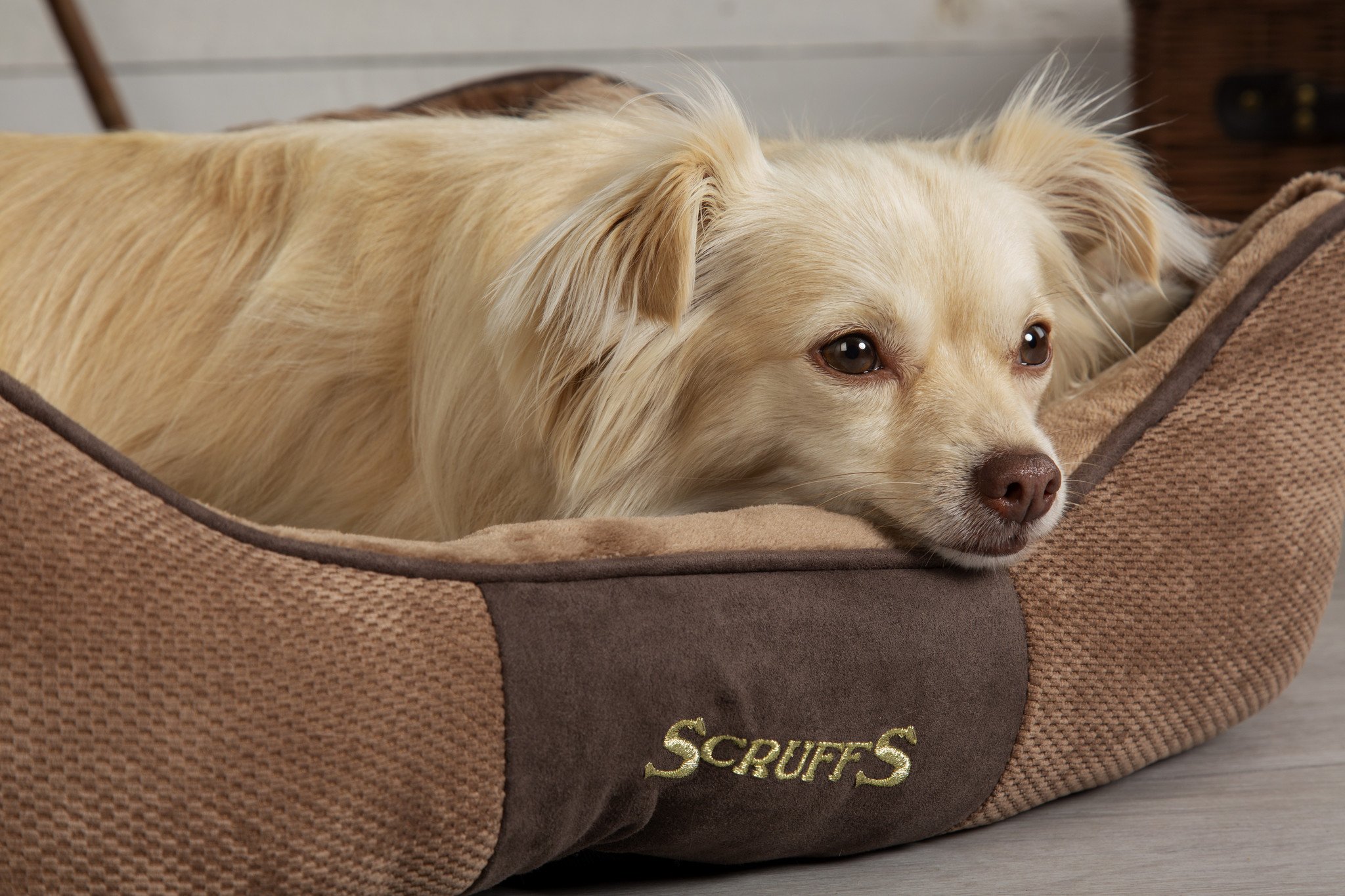 Scruffs Hundebett Scruffs Chester Box Bed 50×40 cm - Chocolate Brown