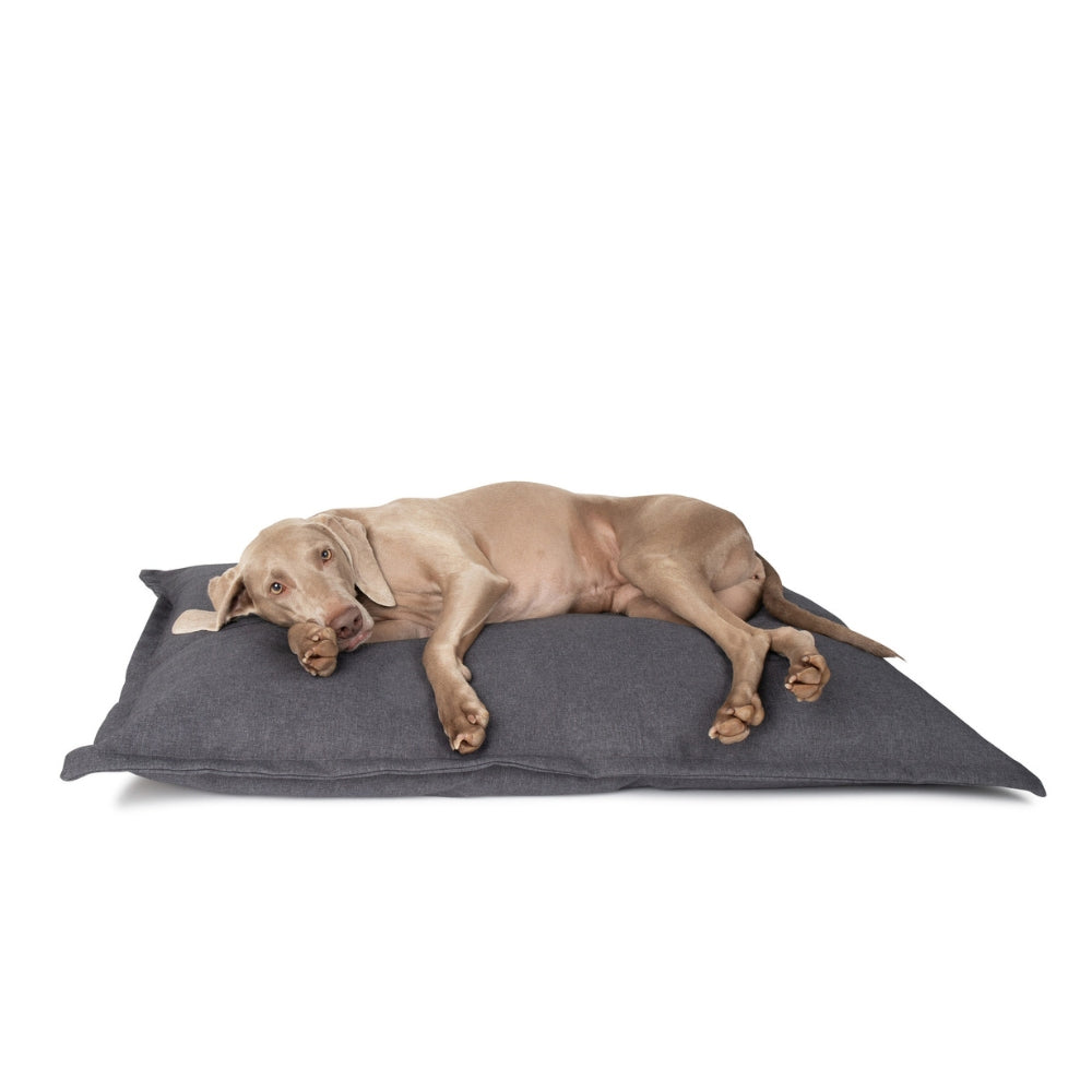 CLASSIC Hundekissen - Shark Grey