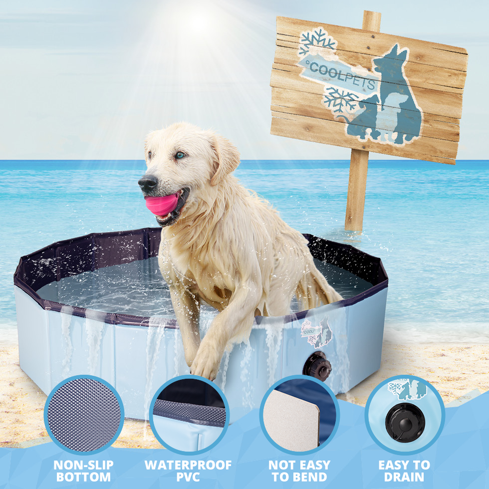 CoolPets Zwembad Small 80×20 cm – Voor honden en katten