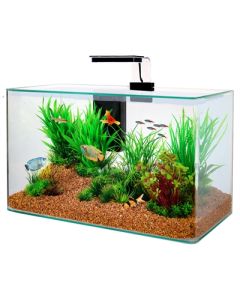 ZOLUX Aquarium Clear Kit Zwart 50×25×38 cm – 32 liter