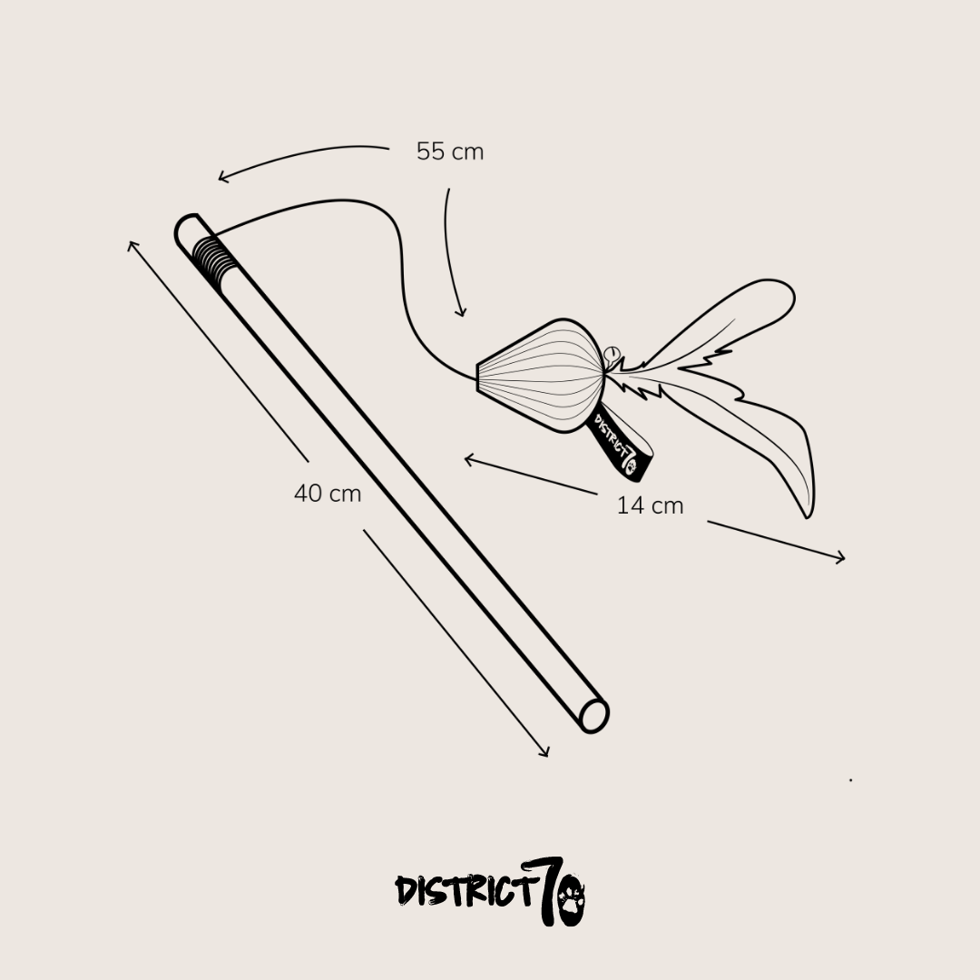 District 70 Kattenhengel SMASH Zwart – Kartonnen 40×55 cm