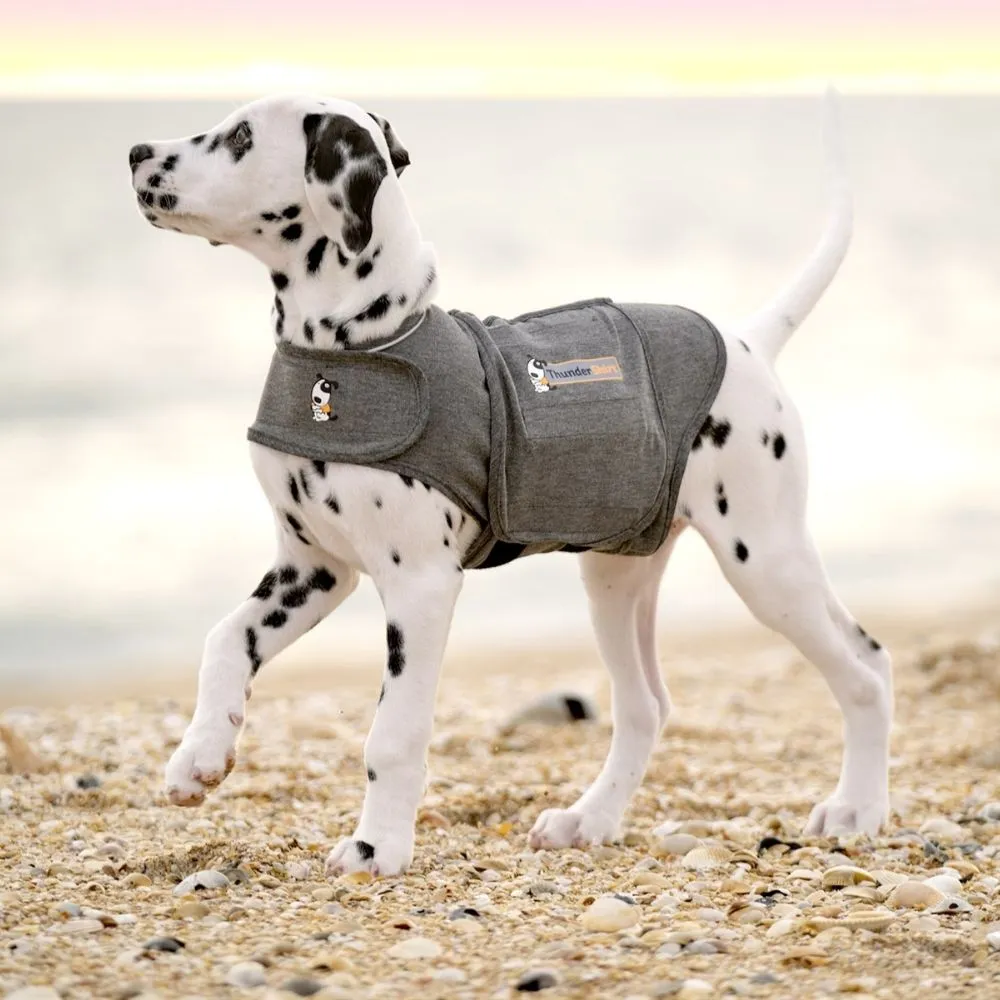 ThunderShirt hondenjas Small 6-11 kg – Ontspannende druk