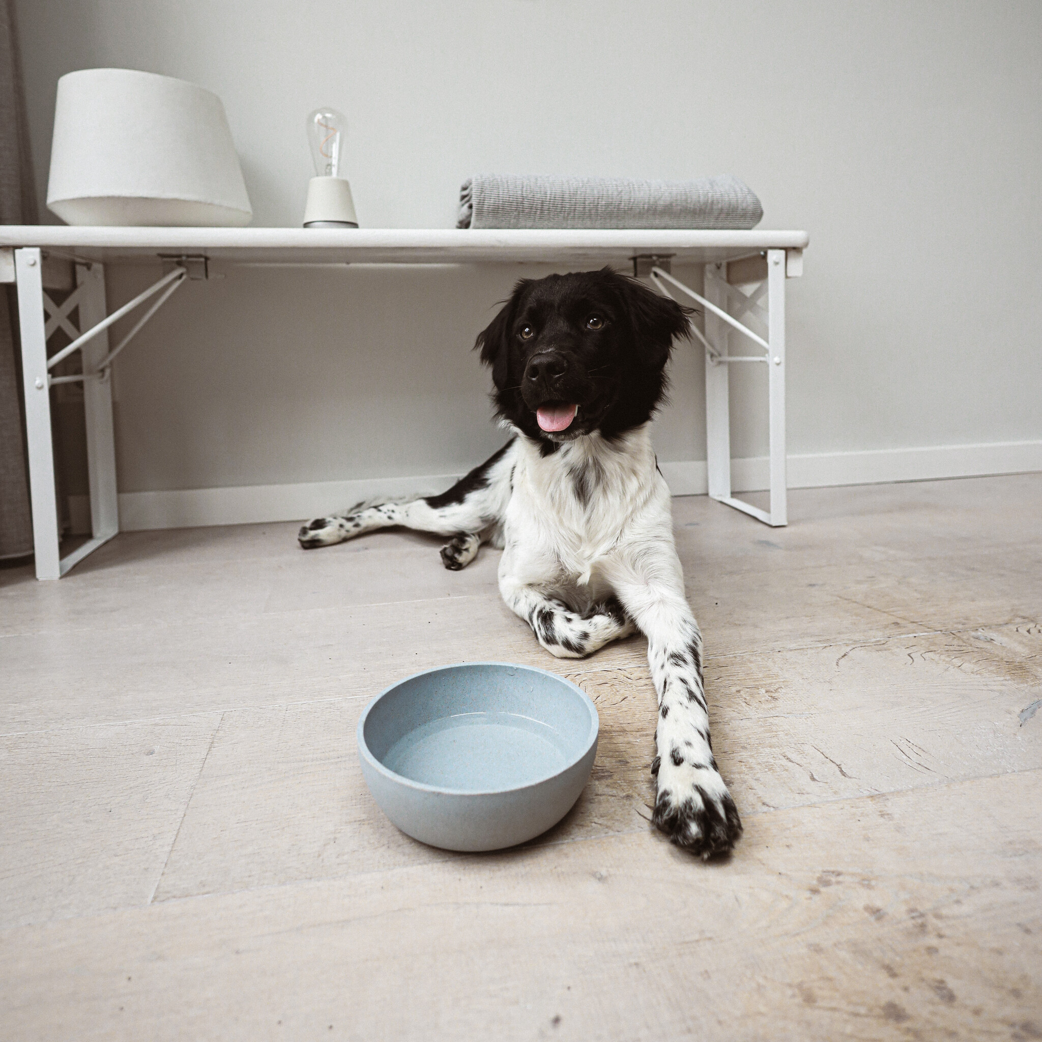 BAMBOO Voerbak voor Honden - Ice Blue / Large ⌀ 21 cm (1600 ML)