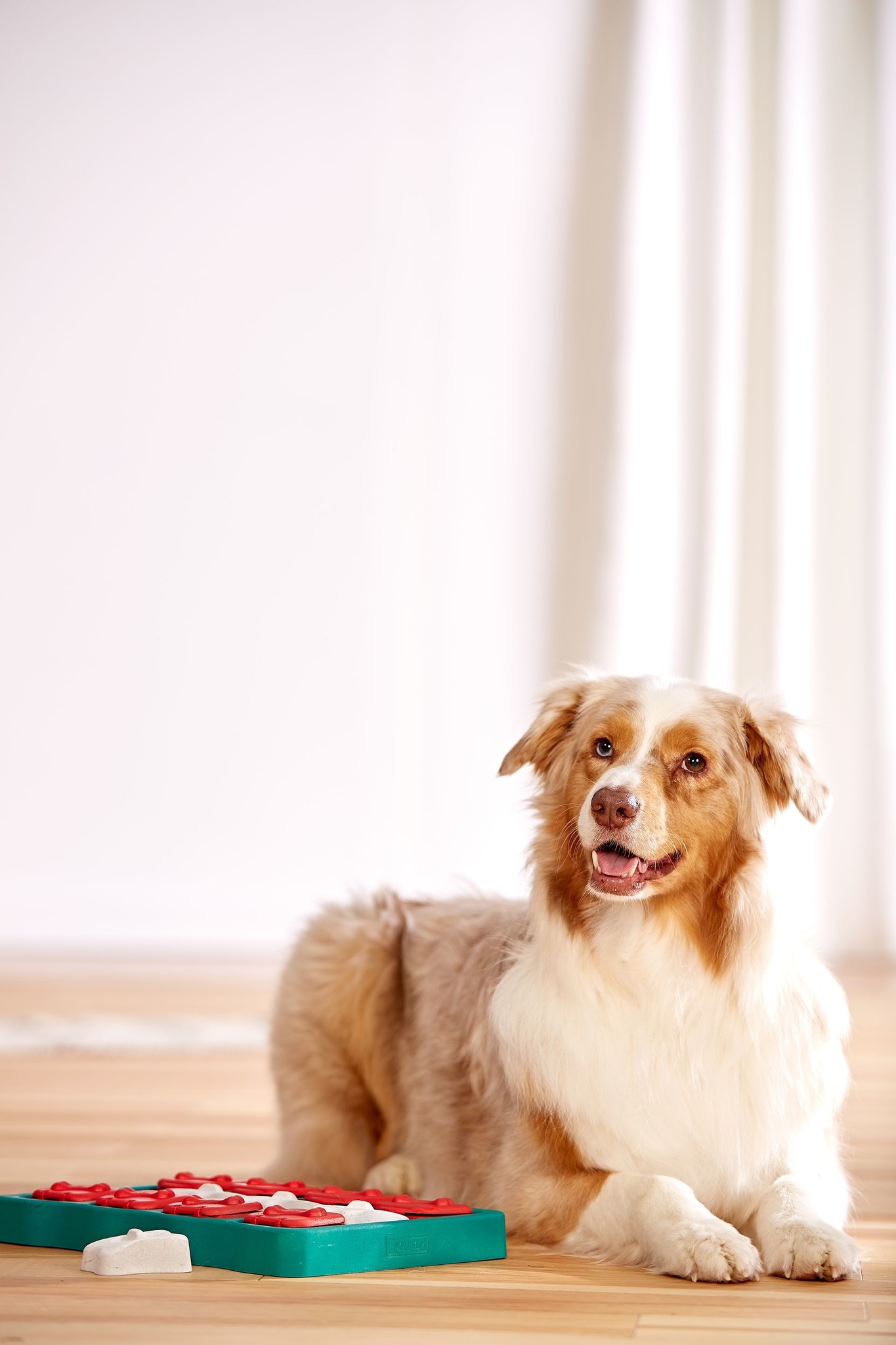 Outward Hound Hondenpuzzel Dog Brick 31×21 cm – Level 2