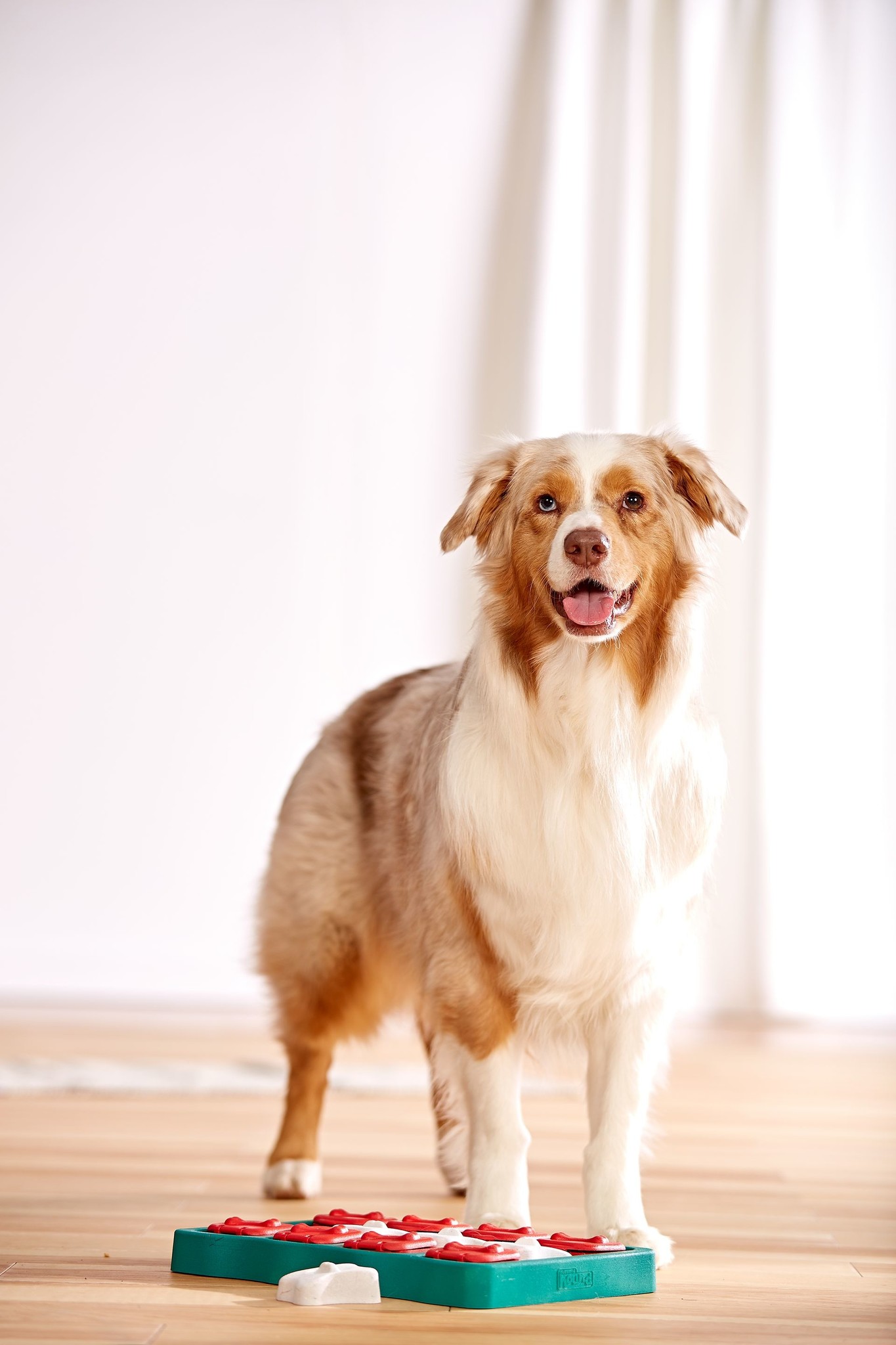 Outward Hound Hondenpuzzel Dog Brick 31×21 cm – Level 2