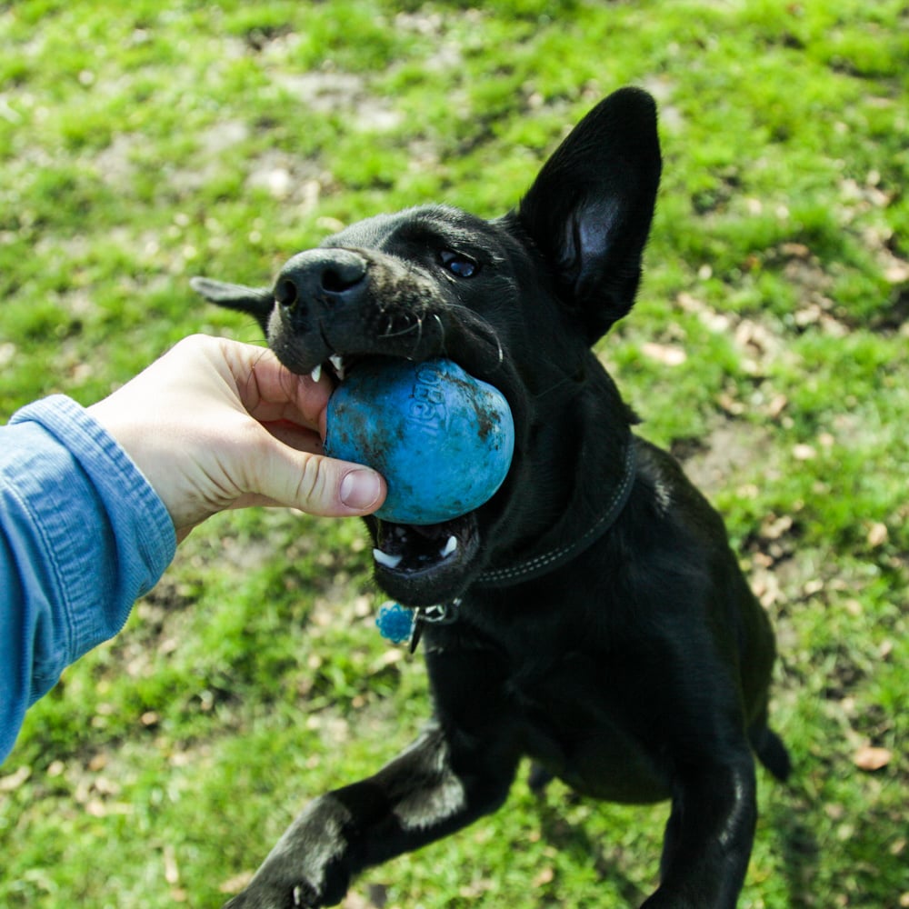Beco hondenrubberbal Rubber Ball 5×5 cm – Blauw