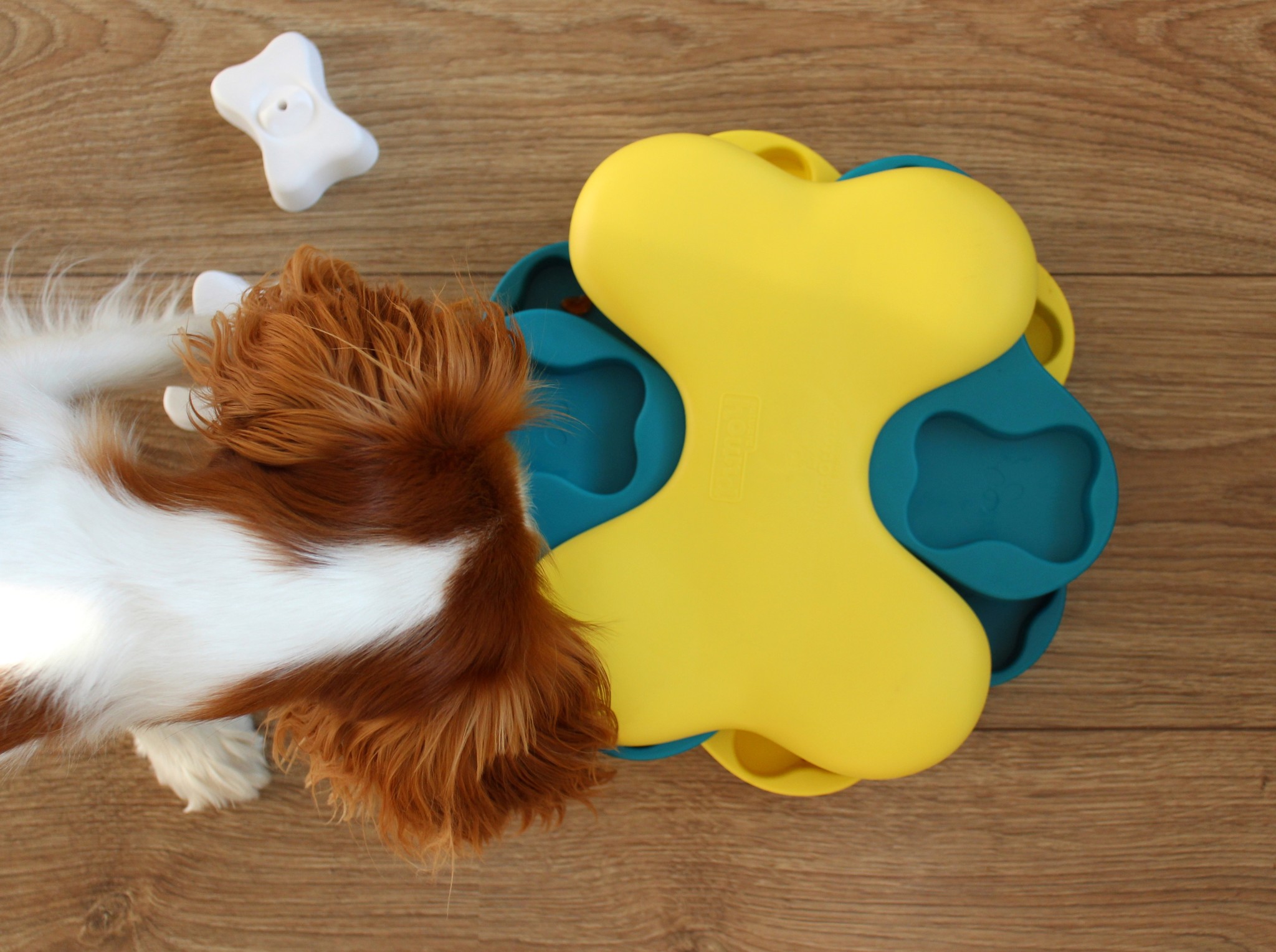 Outward Hound hondenpuzzel Dog Tornado 25×19 cm – Level 2