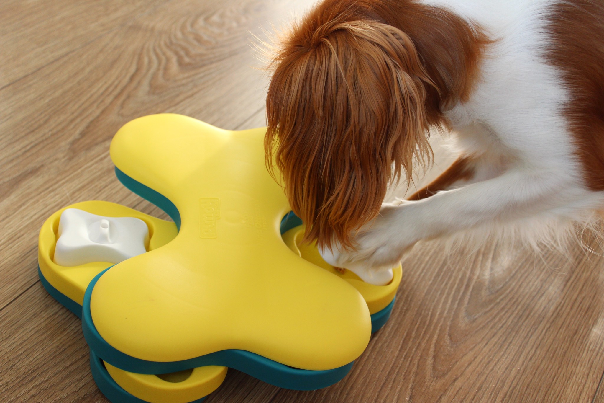 Outward Hound hondenpuzzel Dog Tornado 25×19 cm – Level 2