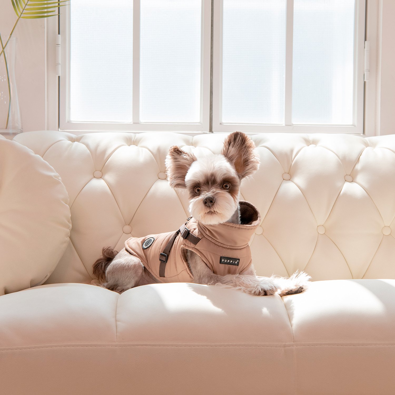 Puppia hondenwinterjasje Mountaineer II Vest M – Beige