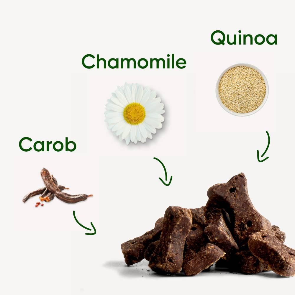 Dog Choc Treats - 10 x 70g
