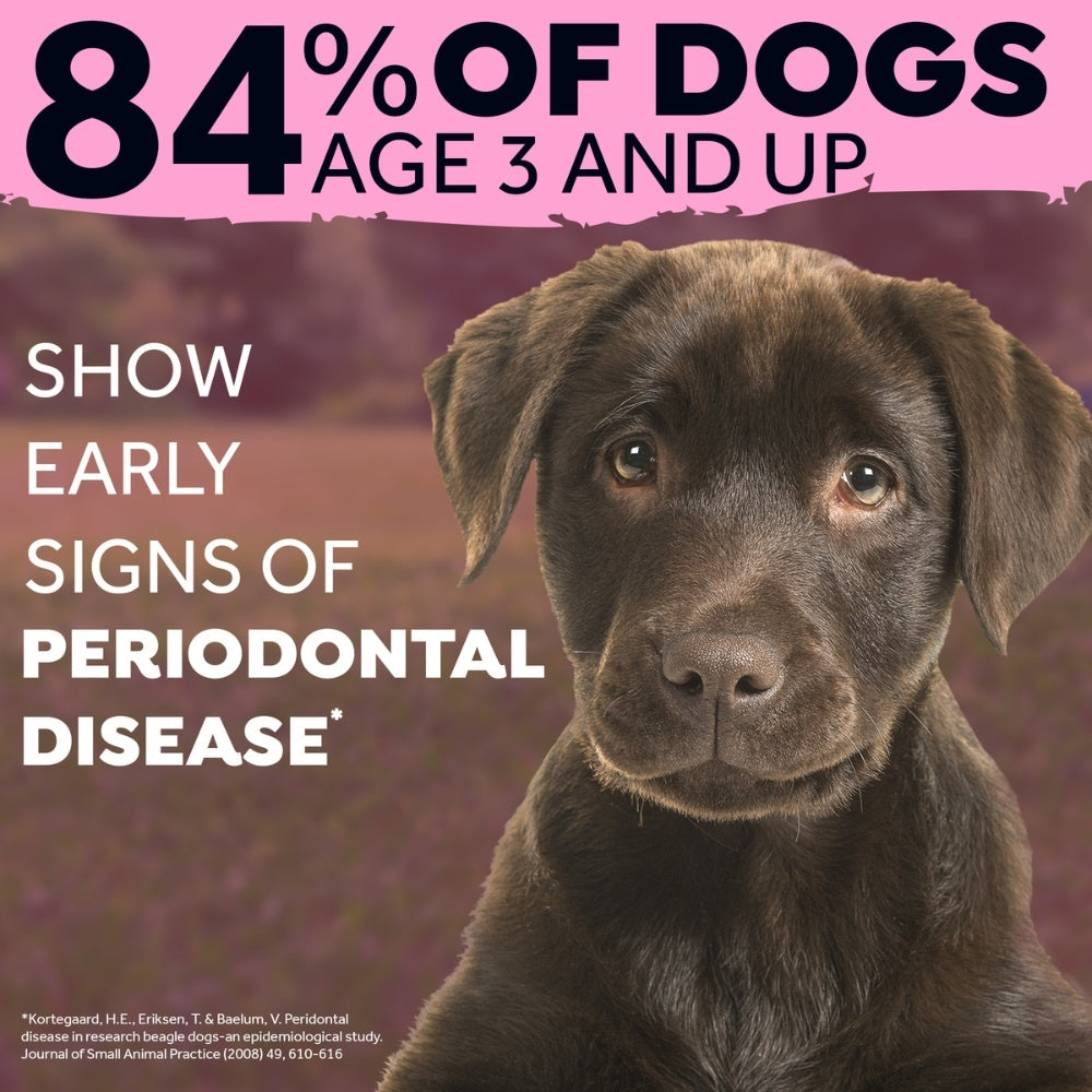 TropiClean Fresh Breath hond verzorgingsproduct smaakloos {{package_size_display}}