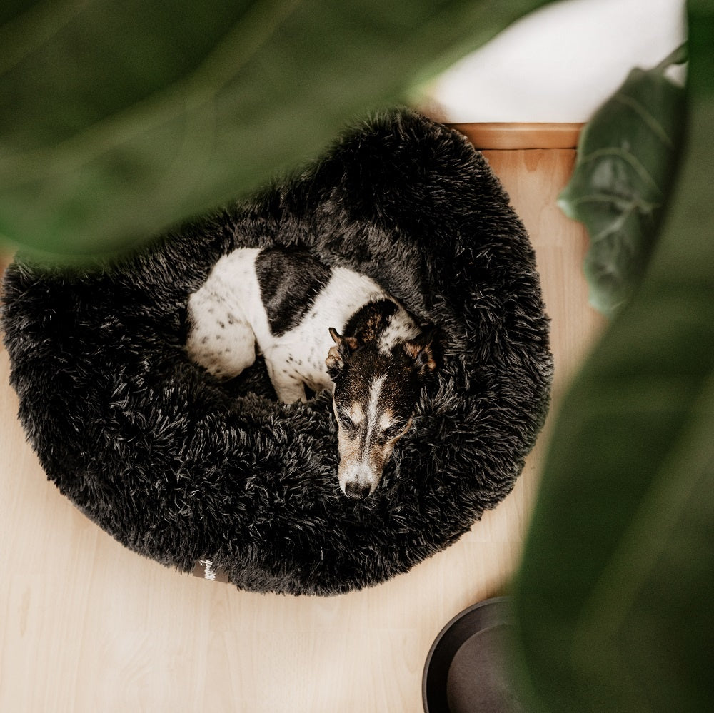 District 70 FUZZ donutmand voor kat en hond