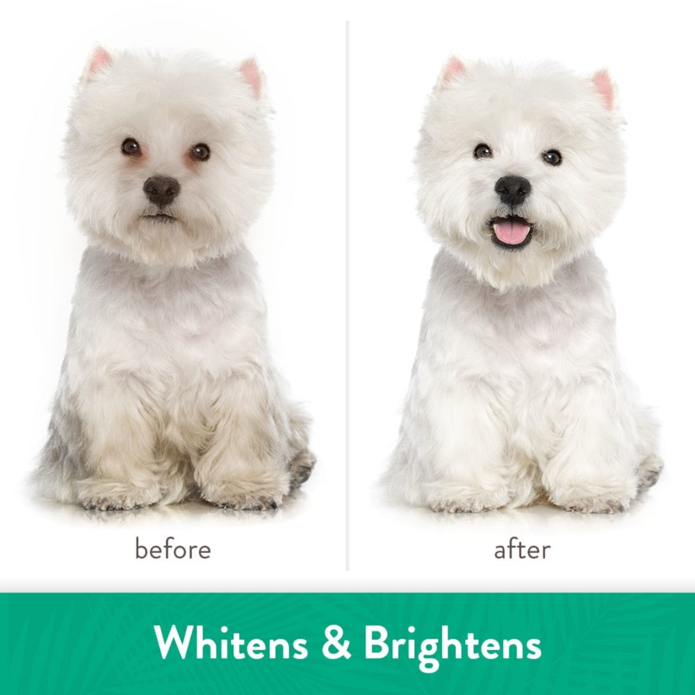 Whitening Shampoo - 355ml