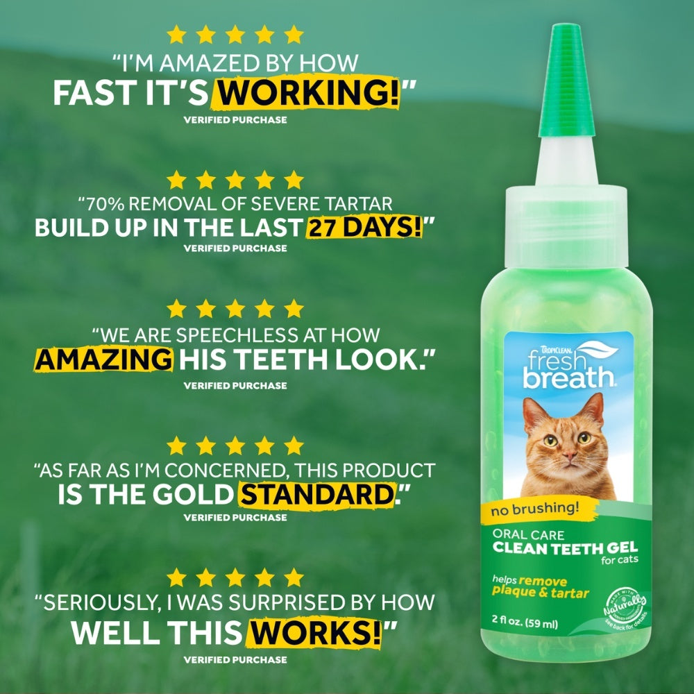 TropiClean tandpasta Clean Teeth gel voor katten