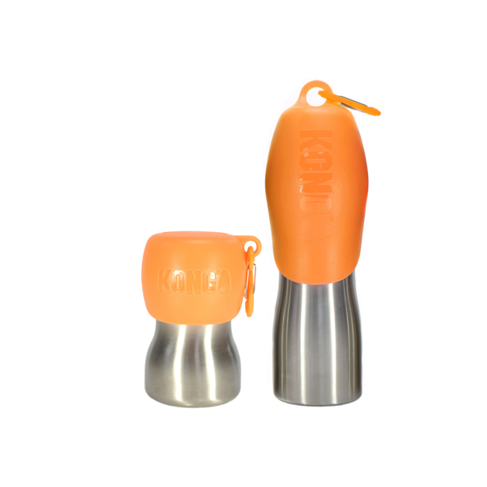 H2O Stainless Steel Water Bottle - Grün / Large - 740 ml