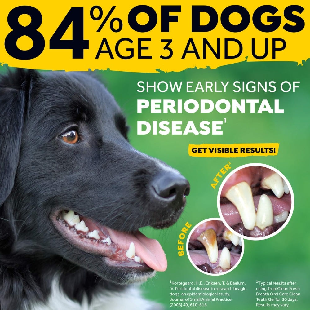 TropiClean Fresh Breath Clean Teeth Gel hond verzorgingsproduct 118 ml