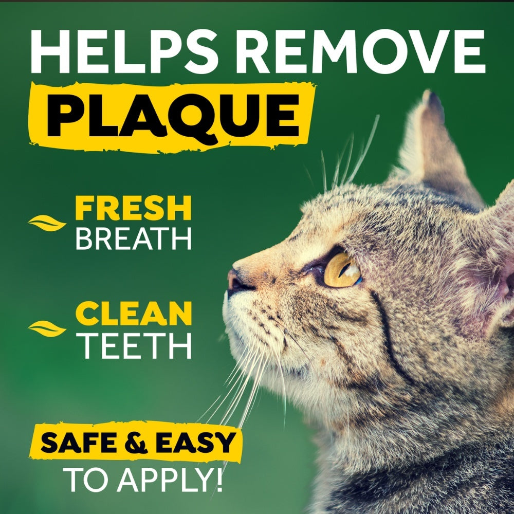 TropiClean tandpasta Clean Teeth gel voor katten
