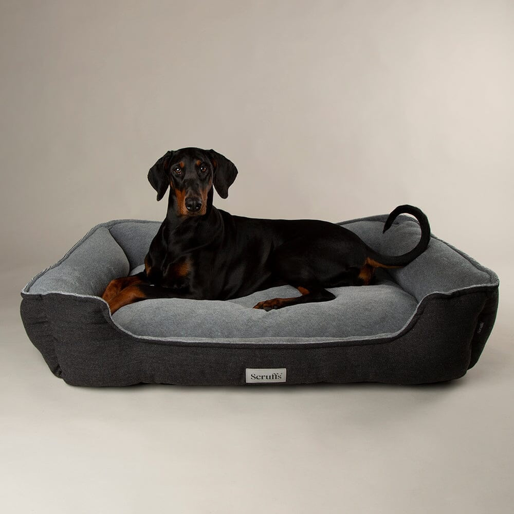 Harvard Orthopedisch Box Bed - Grafietgrijs / Extra Large - 90 x 70 cm