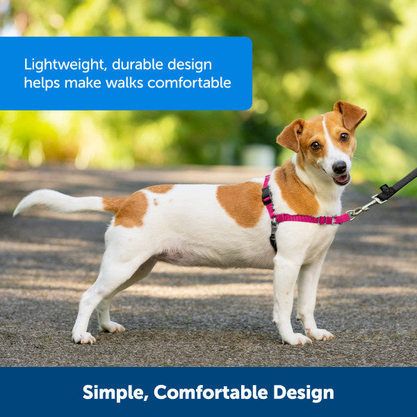 Easy Walk Harness - Schwarz / Medium - 51-71 cm