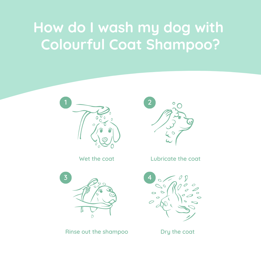 Hundeshampoo Colourful Coat 270 ml