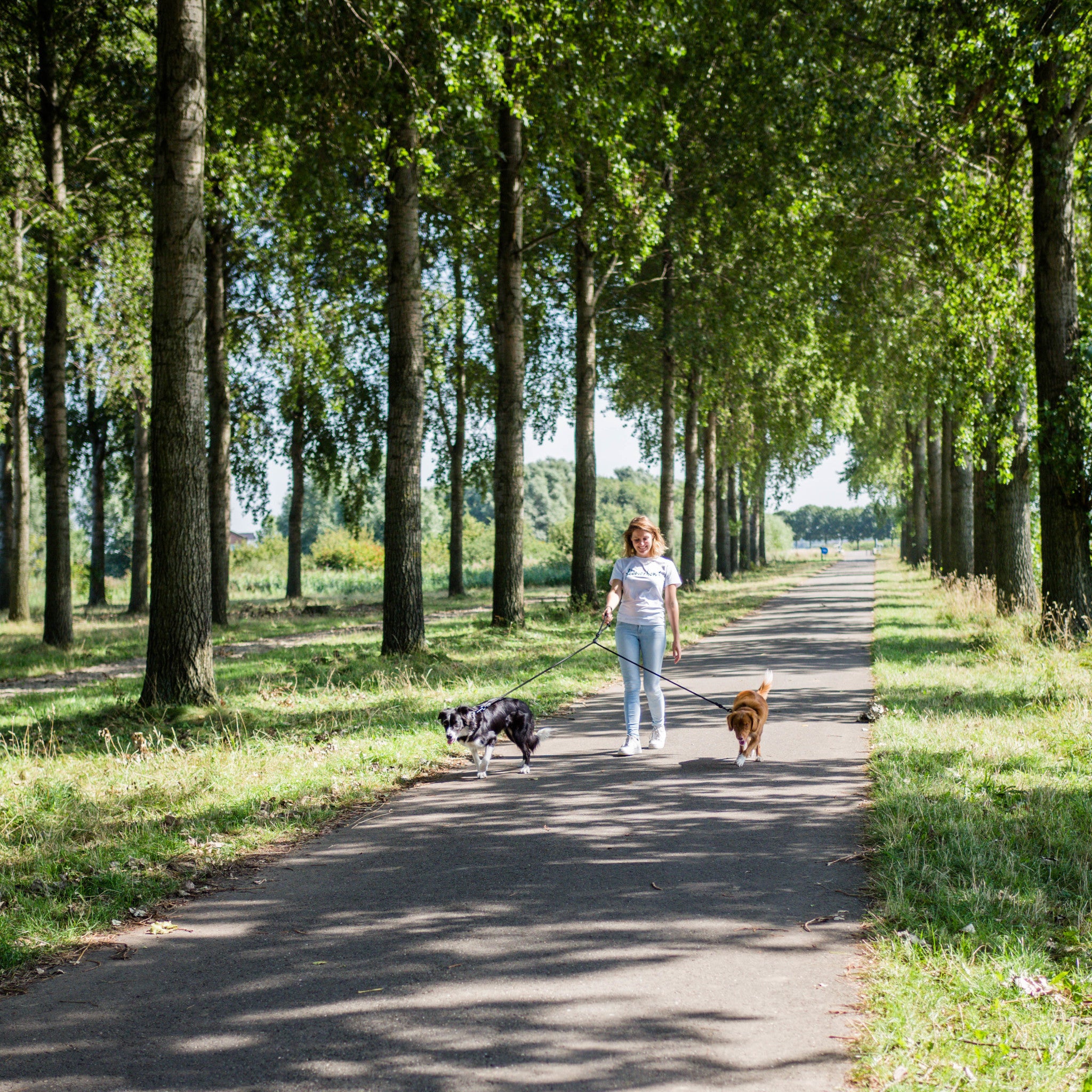 Verstellbare Doppelleine für Hunde - Large (140 cm, Ø 12 mm)