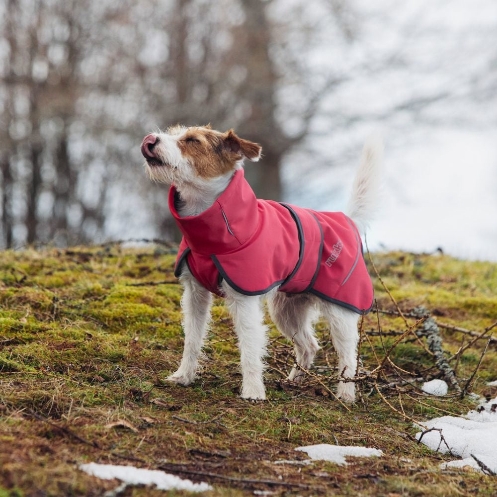 Windy Thermal Jacket - Schwarz / Größe 65