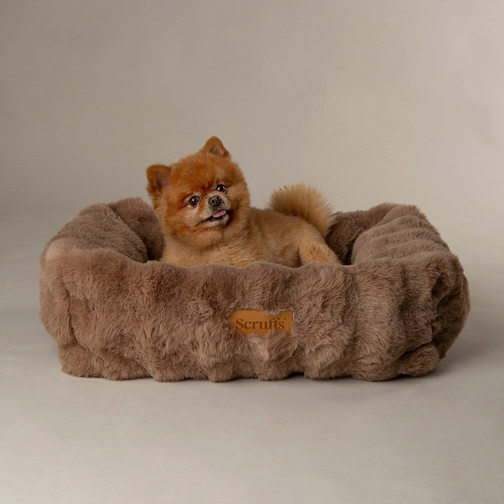 Alpine Box Bed - Taupe / M - 60 x 50 x 16 cm