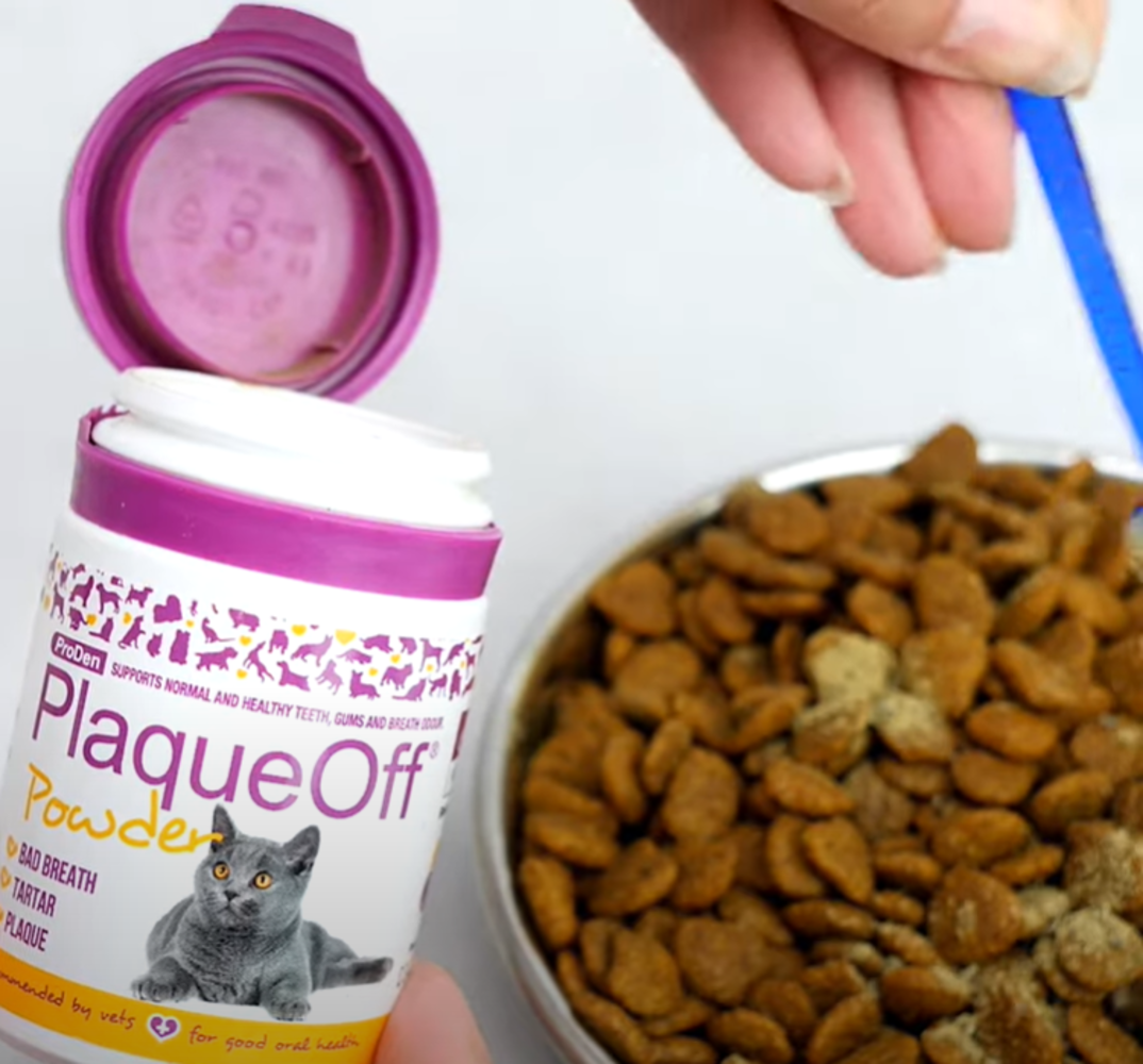PlaqueOff Pulver für Katzen