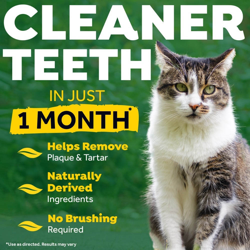 TropiClean tandpasta Clean Teeth gel voor katten