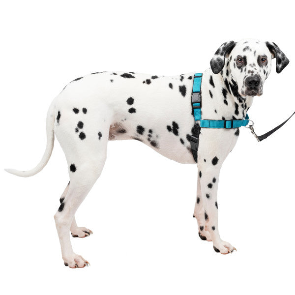Easy Walk® Deluxe Geschirr - Large - 66-91 cm