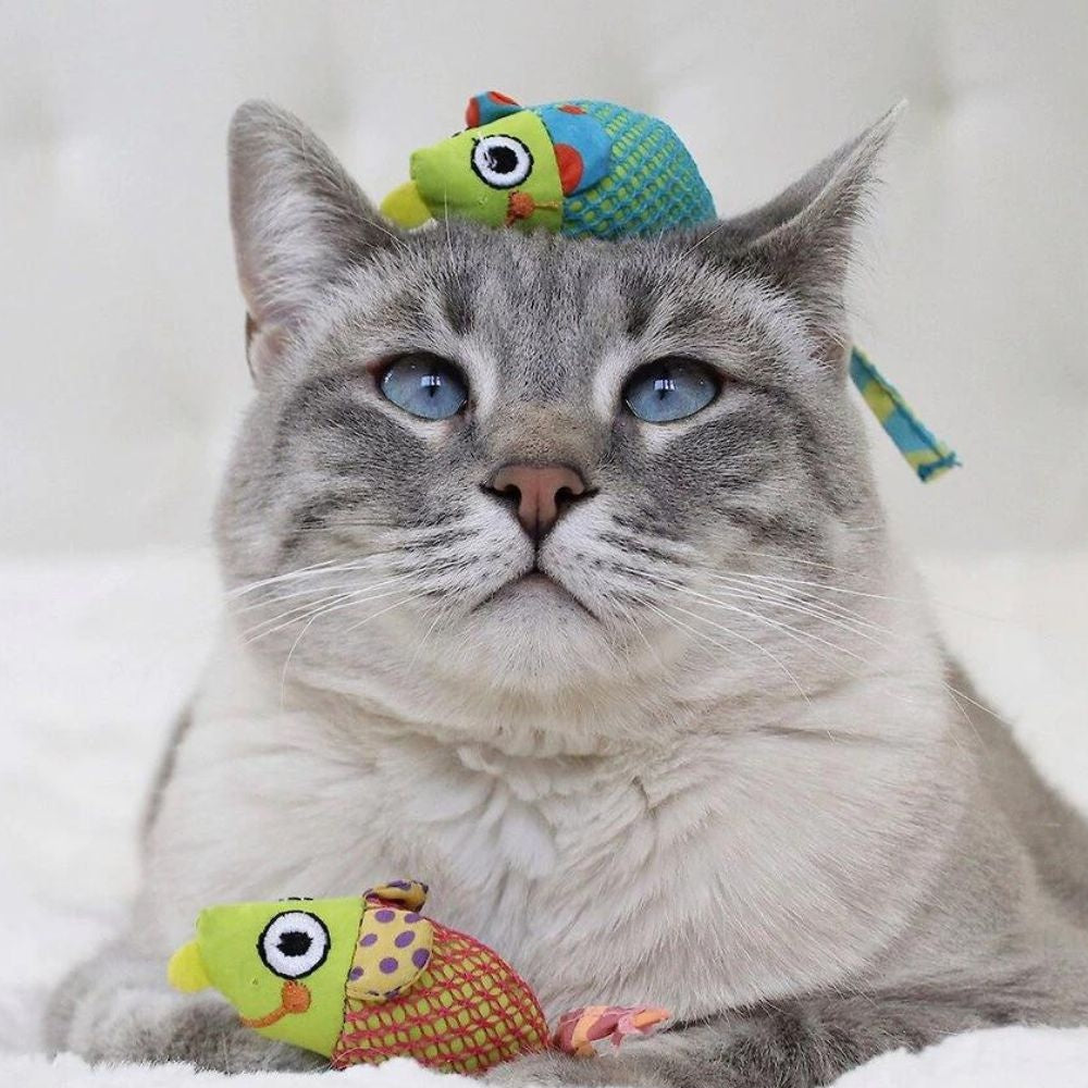 Catnip Chew Mäuse