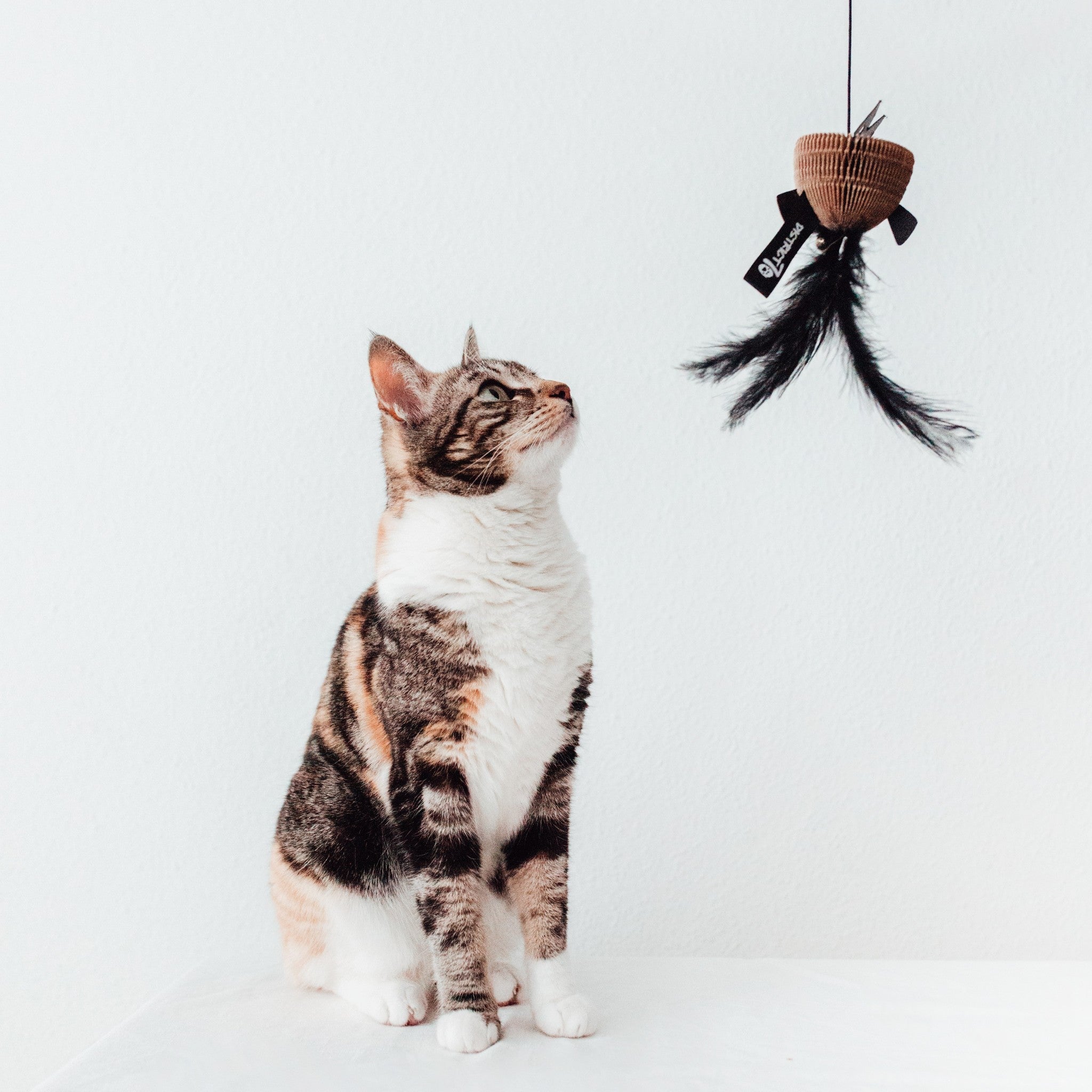 BAIT Katzenangel - Weiß
