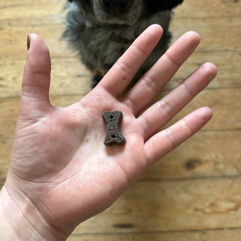 Dog Choc Treats - 10 x 70g