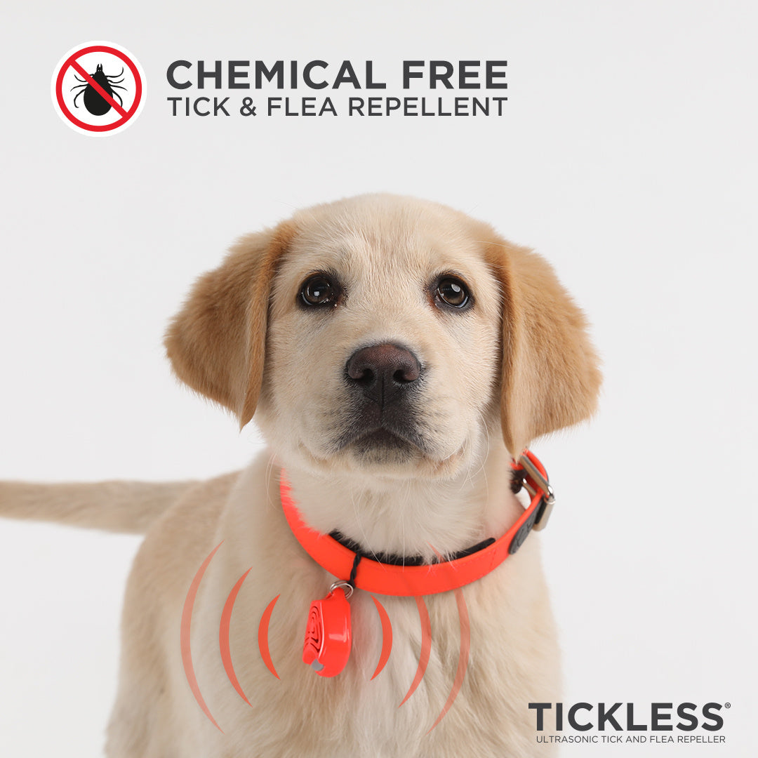 Tickless Pet - Schwarz