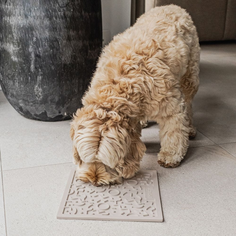 QUEST Leckmatte für Hunde - Dunkelgrau