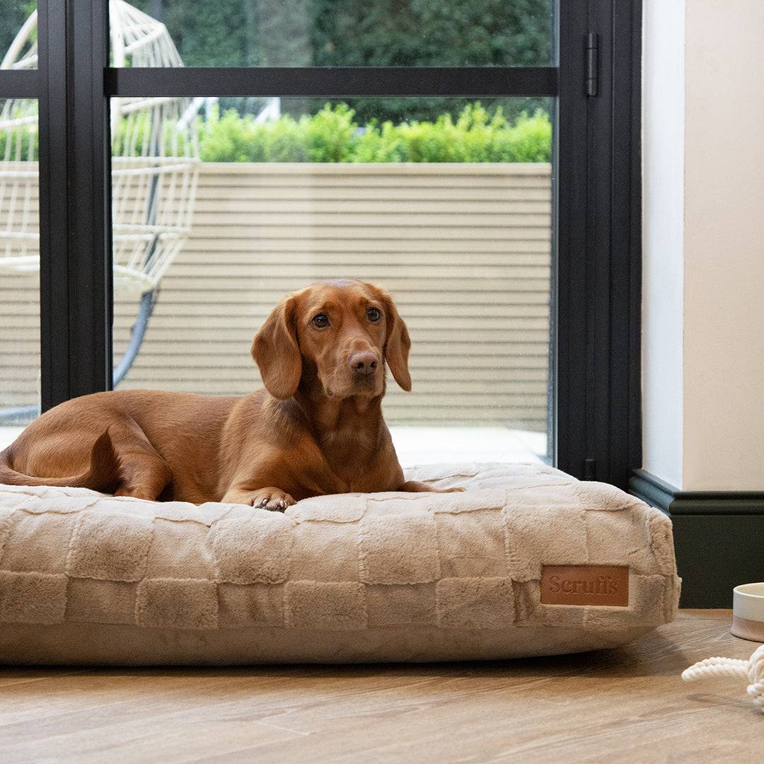 Scruffs Oxford orthopedische mand memory foam L 100x70 cm