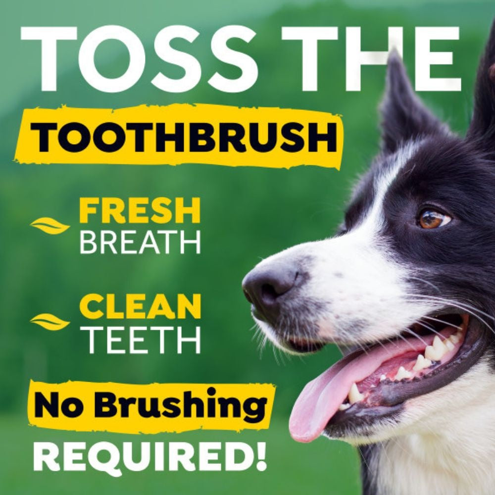 TropiClean Fresh Breath water additief hond