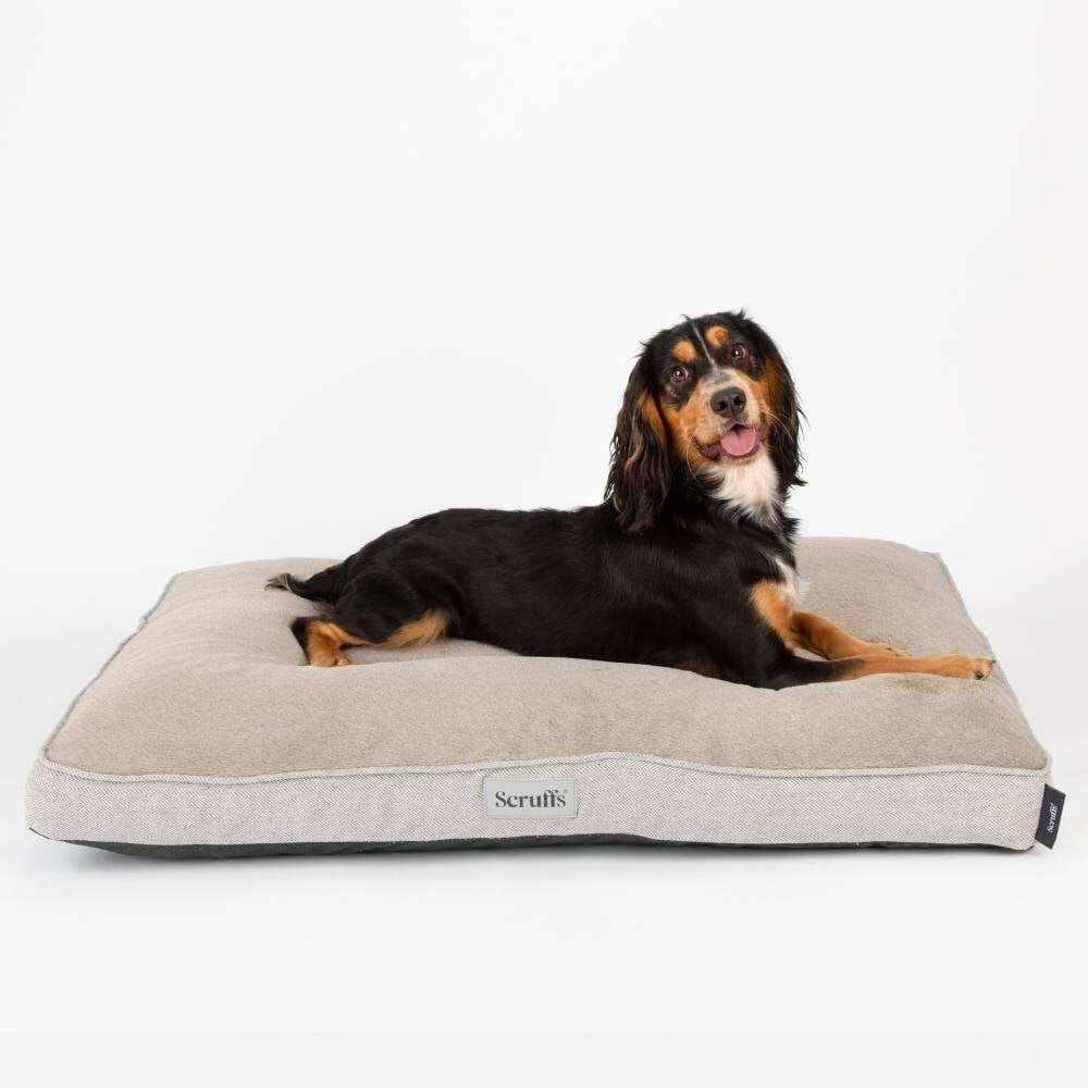 Scruffs Harvard orthopädisches Hundebett - Perlgrau / Large - 100 x 70 cm