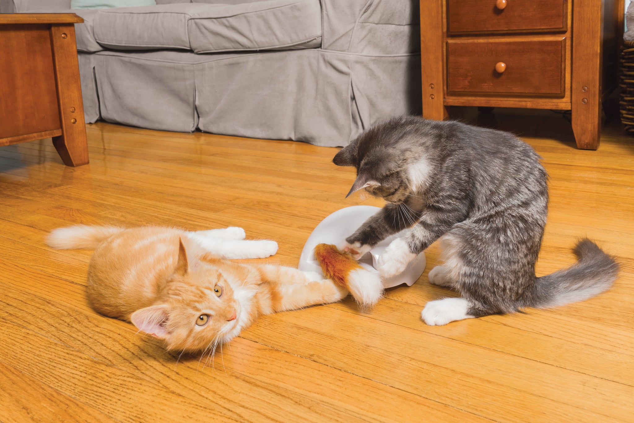 Fox Den Toy – Automatischer Katzen-Teaser