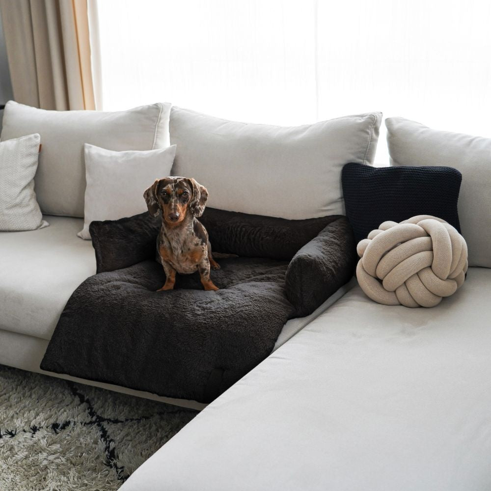 NUZZLE Sofa-Hundebett - Dunkelgrau / Large - 85 x 75 x 19 cm