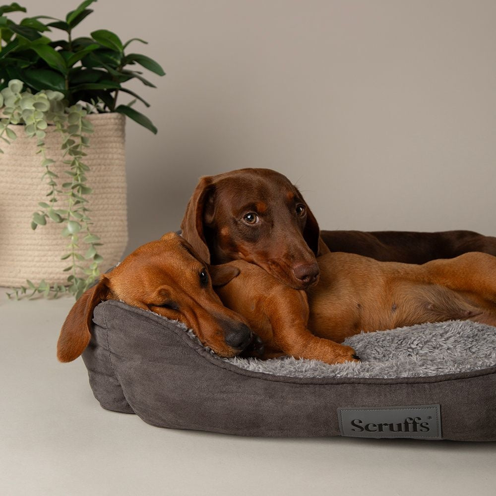 Scruffs Cosy Box Bed