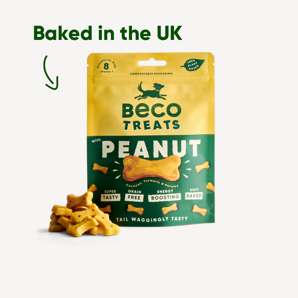 Peanut Treats - 10 x 70g