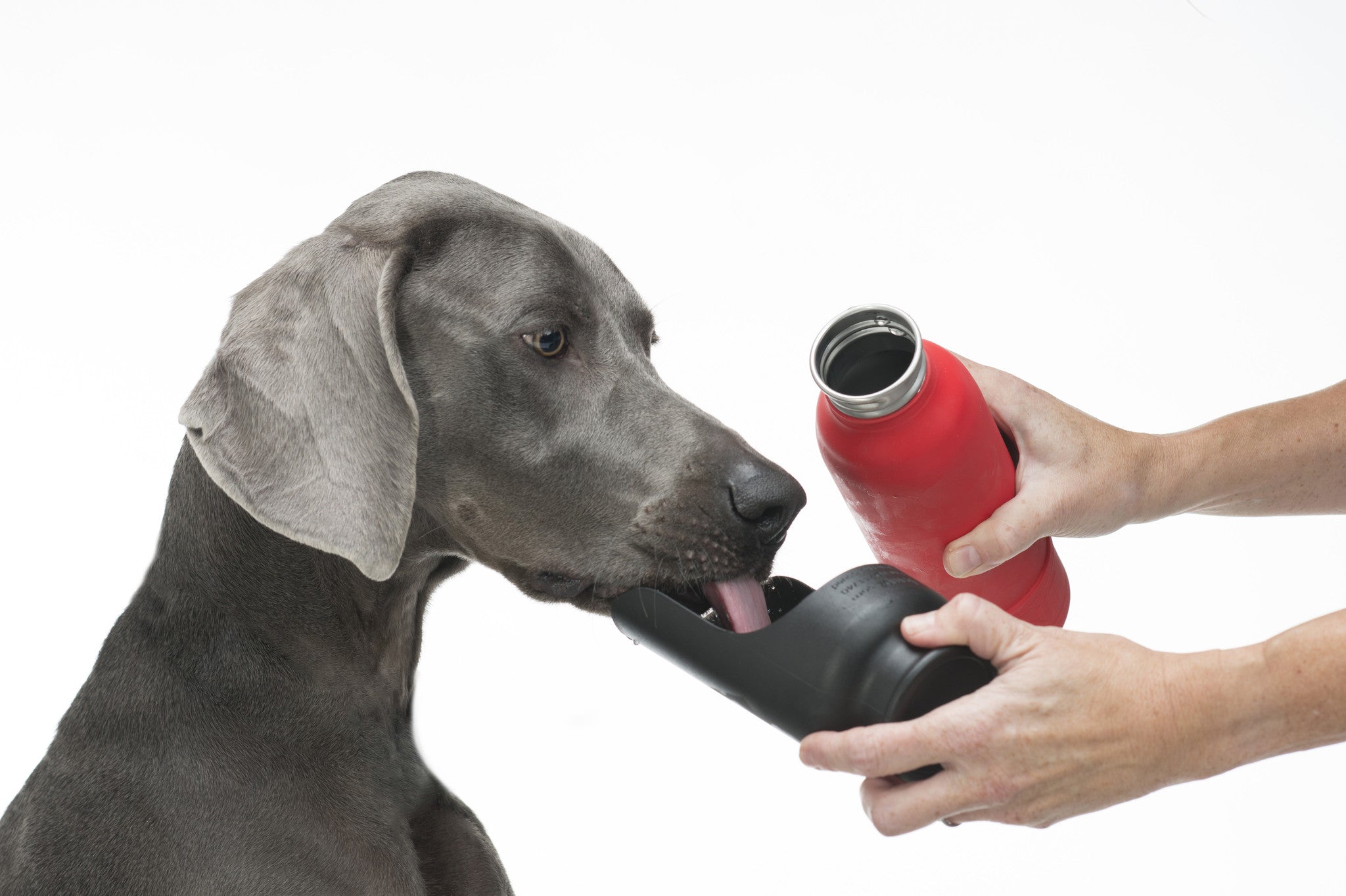 H2O Insulated Water Bottle - Blauw