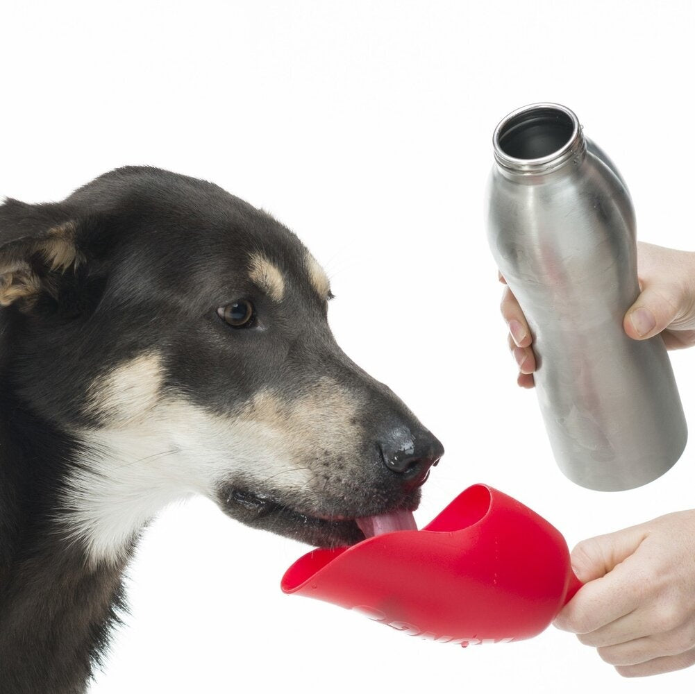 H2O Stainless Steel Water Bottle - Grün / Large - 740 ml