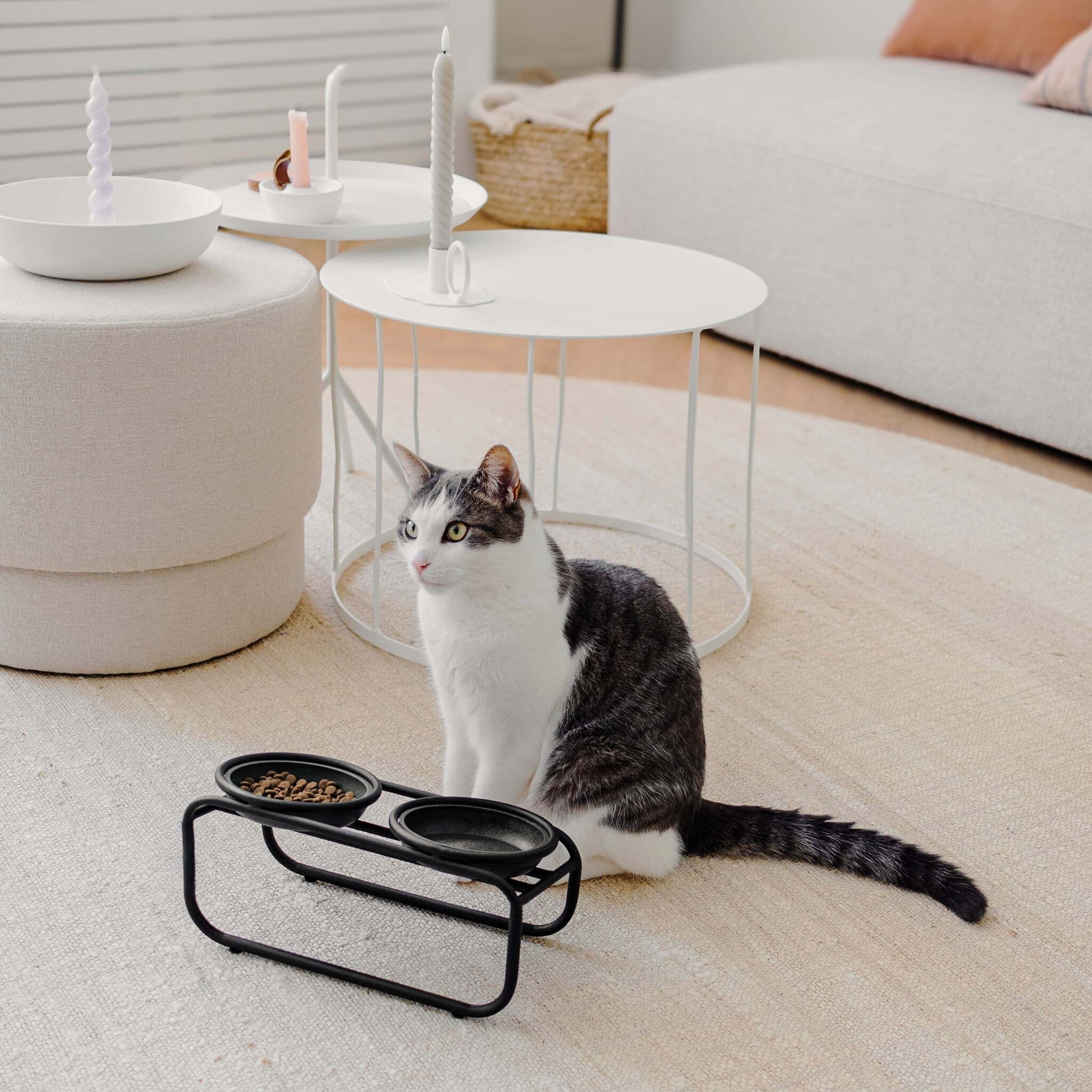 District 70 BUTLER voerbakstandaard voor katten