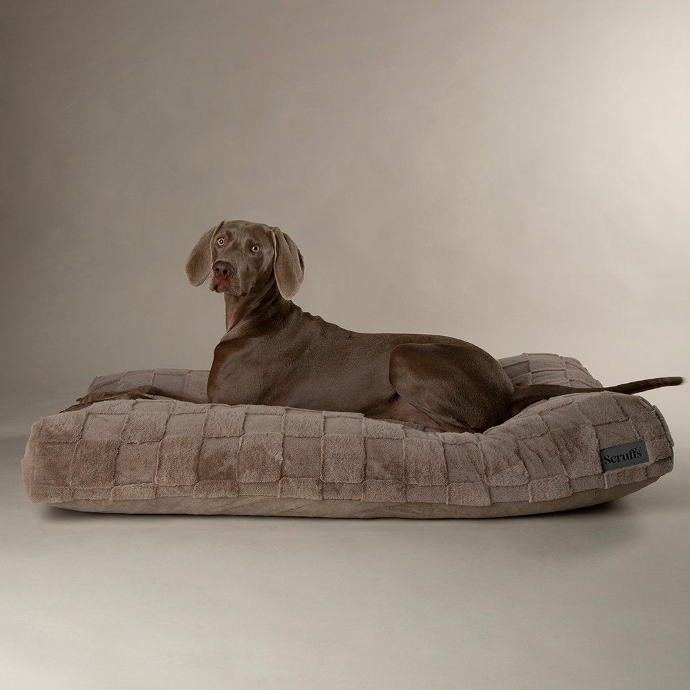 Scruffs Oxford orthopedische mand traagschuim XL 120x75 cm